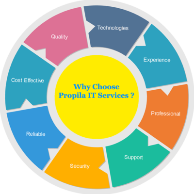 why-choose-us-Propila-IT-Services